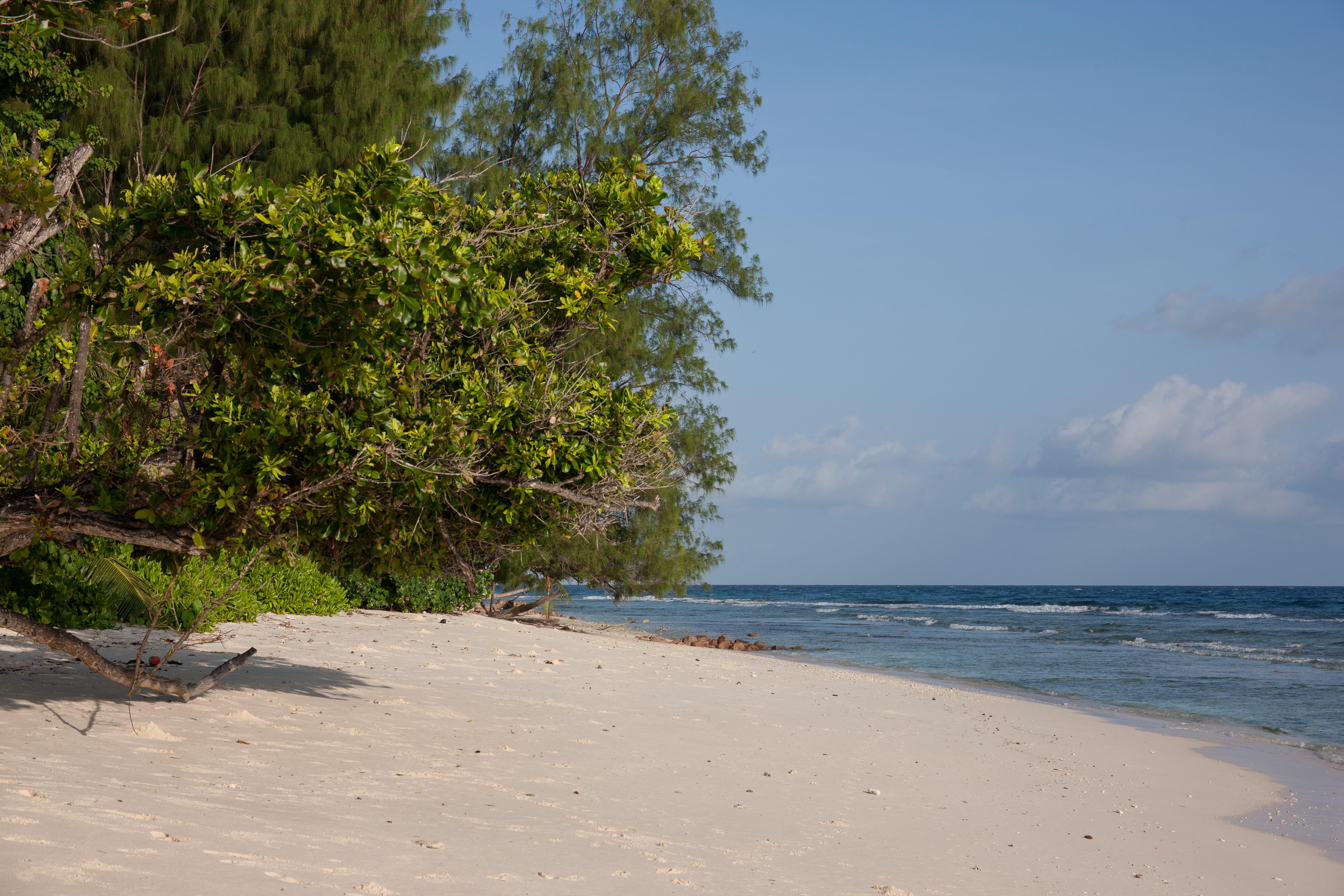 Le Relax Luxury Lodge (Adults Only) La Digue Exterior foto
